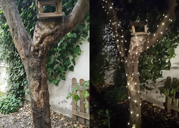 Il Giardino Di Frida